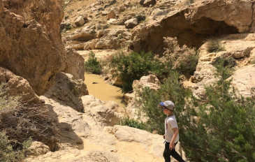 נחל ממשית: מסלול מעגלי (2)