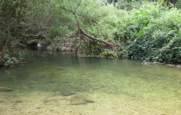 נחל כזיב - זיהום נחלים בצפון: הרשימה המעודכנת של המקומות בהם מסוכן להיכנס למים (3)