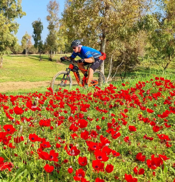 תמונה של למטייל בישראל מסכמת שנה: המסלולים, האטרקציות והאירועים שהכי אהבתם בשנת 2023 - למטייל בישראל (טיולי)