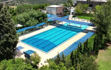שורש ירוק בהר (2)