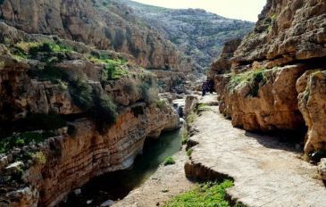מטיבי לכת בואדי קלט (2)