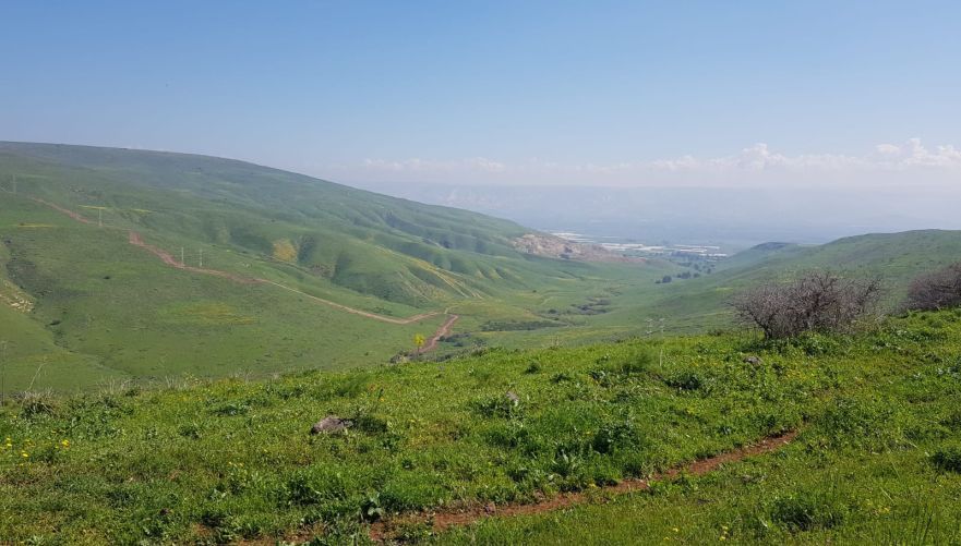 ככה נראה נחל יששכר מדרך הנוף שלוחת צבאים | צילום: נאור שקד