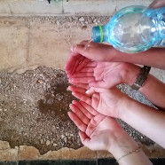 תמונה מתוך למטייל בישראל (טיולי)