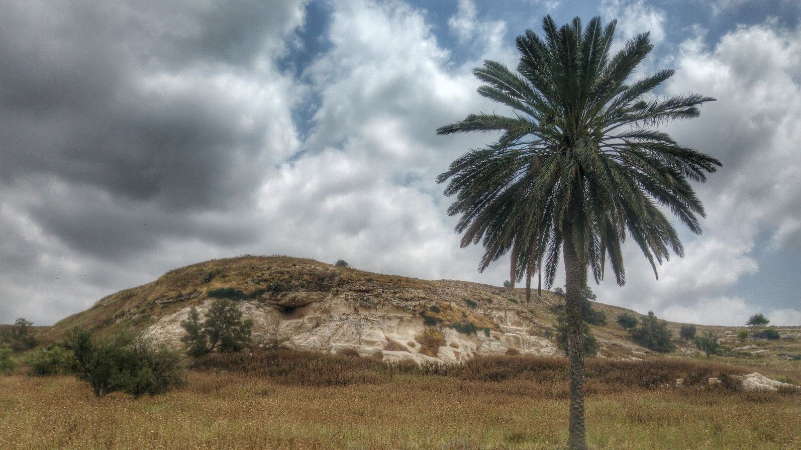 היסטוריה מקראית ונוף מדהים, תל צפית | צילום: איתמר ברק
