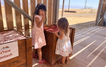 טיולים, מופעי אור וסיורי עששיות: חנוכה במרכז המבקרים ים המלח (3)