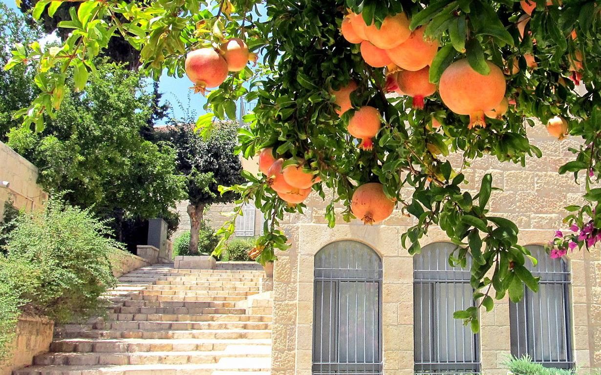 תמונה מתוך תוכן באתר למטייל בישראל (טיולי)