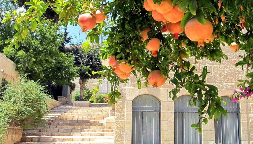 תמונה מתוך תוכן באתר למטייל בישראל (טיולי)