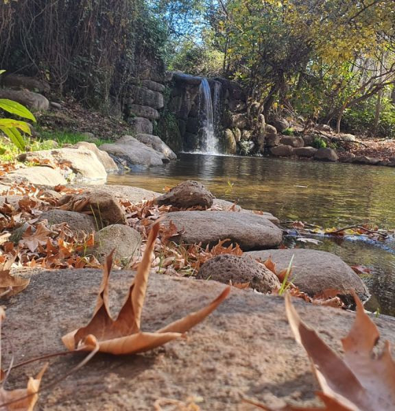 תמונה של הצפון פתוח, בואו: מפעל הפיס מזמין אתכם לעשרות אטרקציות ואתרים בצפון ללא עלות - למטייל בישראל (טיולי)