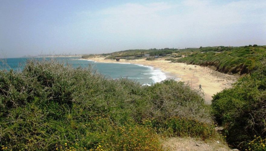 חוף פלמחים | צילום: איל מיטרני
