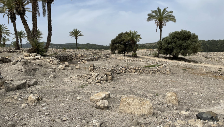 כאן זרקו פועלי חפירה ממצרים גלעיני תמרים | צילום: שיר בהר