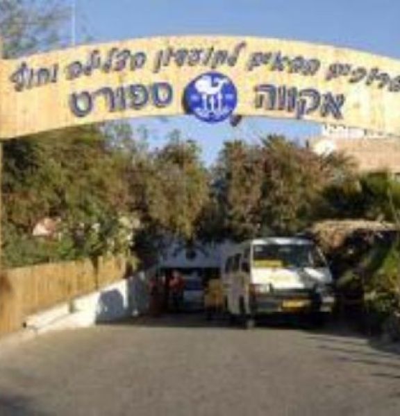 תמונה של מועדון צלילה אקווה ספורט - למטייל בישראל (טיולי)