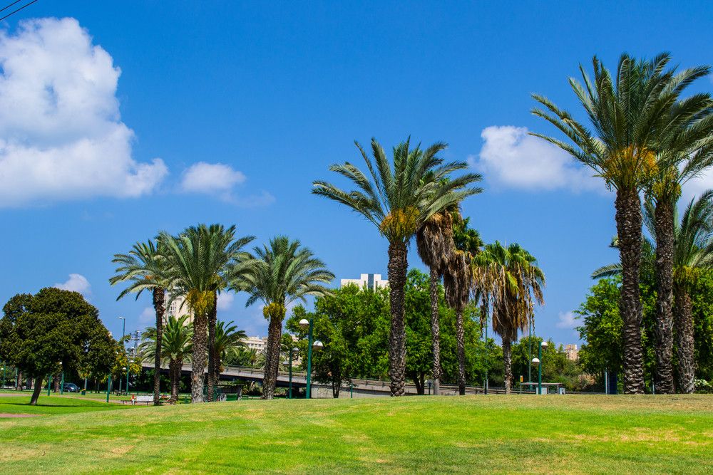 תמונה מתוך תוכן באתר למטייל בישראל (טיולי)