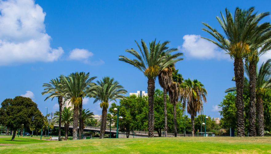 תמונה מתוך תוכן באתר למטייל בישראל (טיולי)