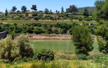 סכר בית זית (2)