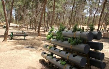 חניון האורנים - יום כיף באזור באר שבע והנגב: יער שיש בו הכל וממלכת ילדים מרתקת (2)