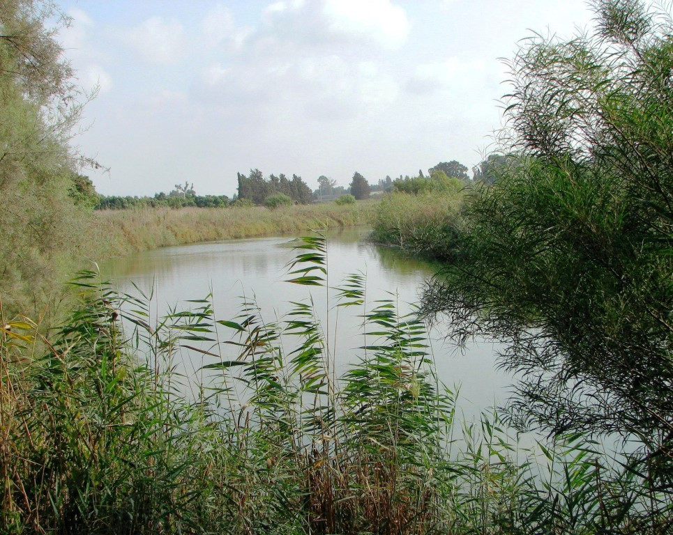 תמונה מתוך תוכן באתר למטייל בישראל (טיולי)