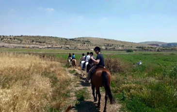 חוות המאלף: רכיבה חוויתית על סוסים (2)