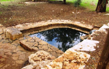 עין מסילה (2)