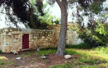 קבר הש'ייח תמים אל דארי - קטע מספר 22: מנתיב הל''ה לבית גוברין (2)