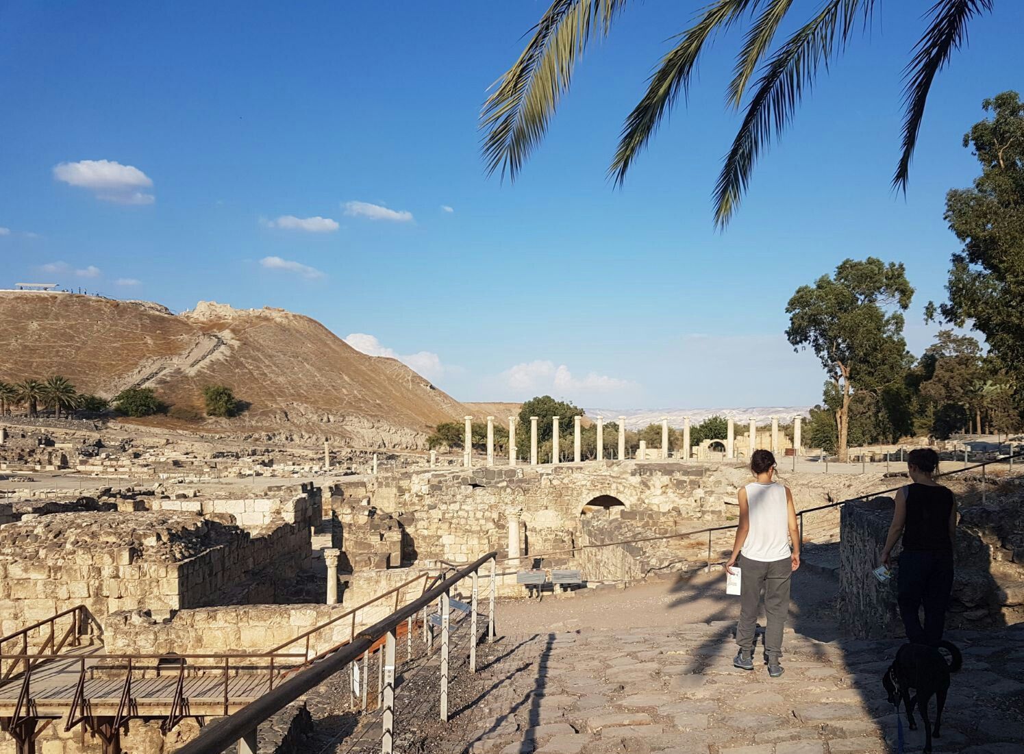 עתיקות בית שאן, צילום: עדי שילדן
