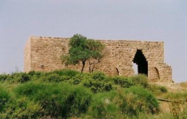 תל בלטה - טיול לשכם ואזור השומרון, כולל קבר יוסף והר גריזים  (2)
