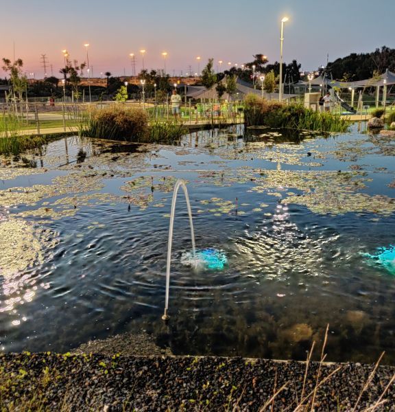 תמונה של פארק השרון ביבנה: טבע עירוני בלב השפלה - למטייל בישראל (טיולי)