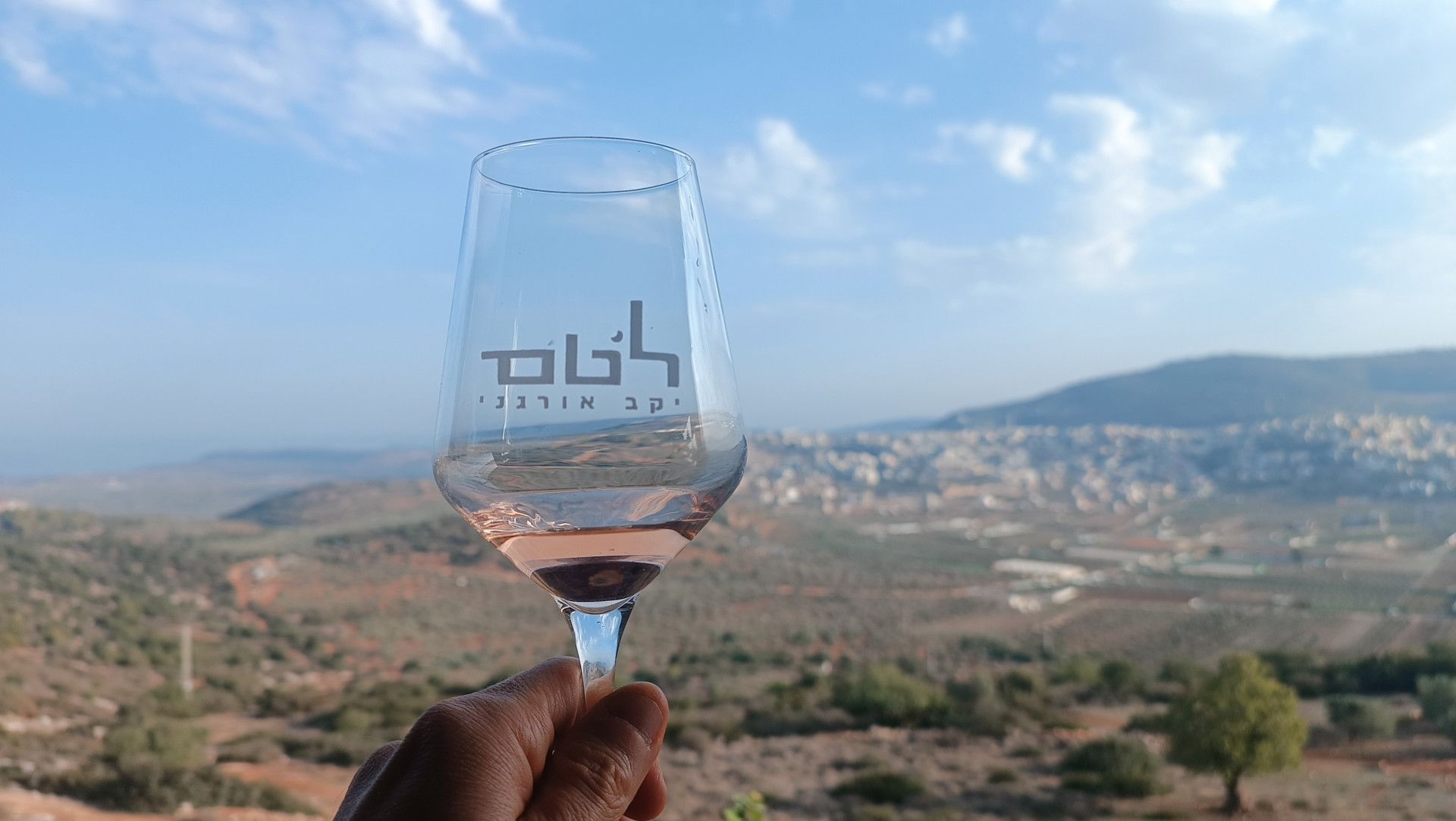 נוף עוצר נשימה –&nbsp;יקב לטם | צילום: שי קדם