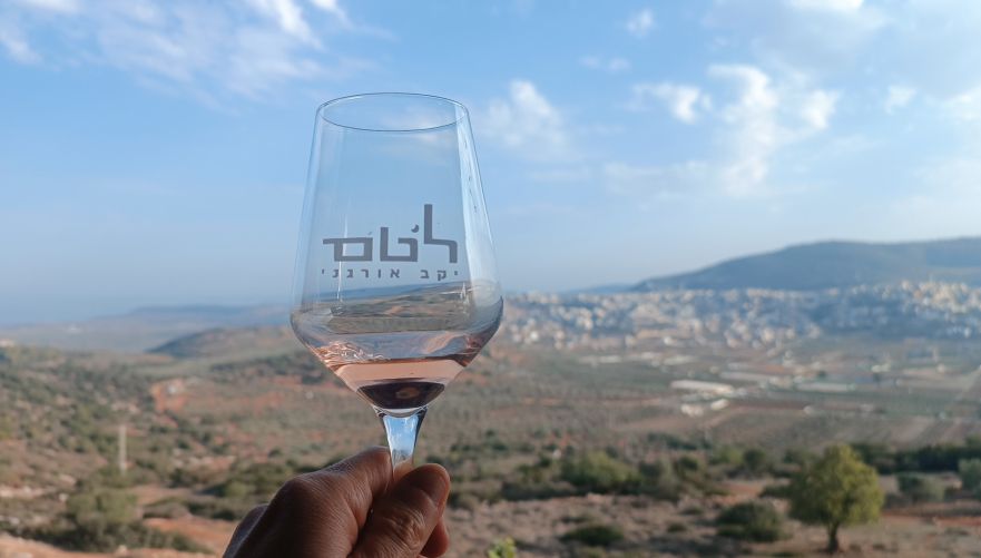 נוף עוצר נשימה – יקב לטם | צילום: שי קדם