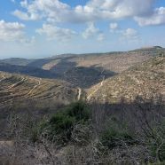 תמונה מתוך למטייל בישראל (טיולי)