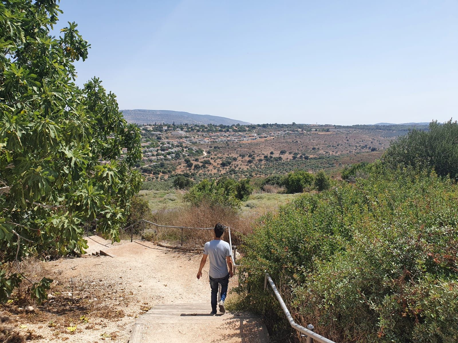 בגן הלאומי. צילום: אן הורוביץ