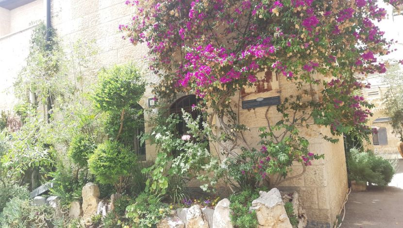לא הכל אדום: המקומות המיוחדים שכדאי לבקר בהם בירושלים, גם עכשיו (1)