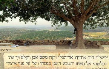 יום כיף באזור צומת ראם: נוף עם סיפור וקטיף מתוק (2)