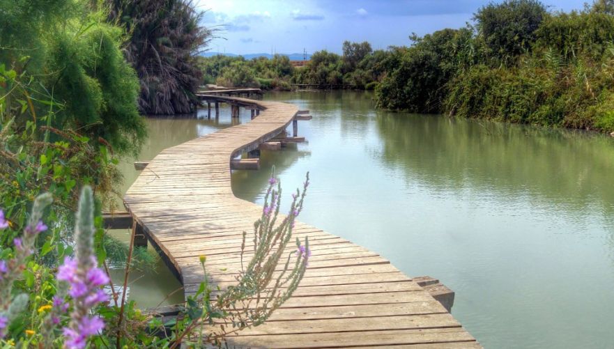 הגשר הצף בעין אפק | צילום: איתמר ברק
