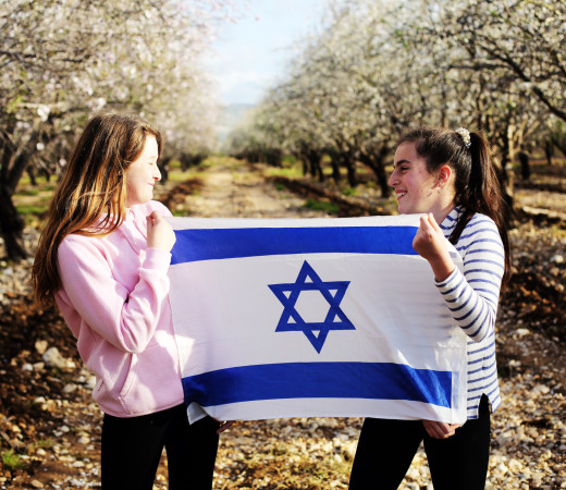 תמונה של א-לף, סטופ: ארץ, עיר - גרסת למטייל - למטייל בישראל (טיולי)