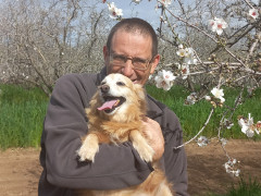 שקד מצוי - צילום של Iddo_3270859 - למטייל בישראל (טיולי) 2