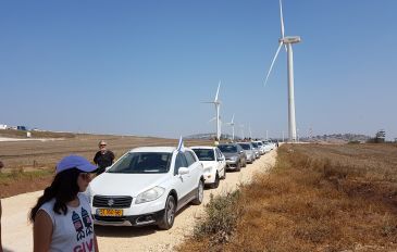יופיו של האירוס הצנוע -אירוס הגלבוע (2)