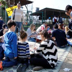 תמונה של החווה בגבעה: פינת חי משפחתית במרכז הארץ - למטיל בישראל