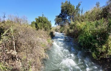 שמורת טבע תל דן (2)