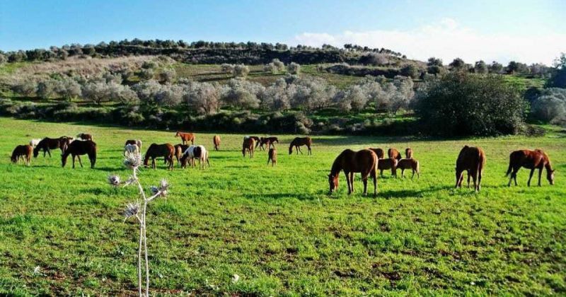 רק אתם והטבע | צילום: הלל נתן