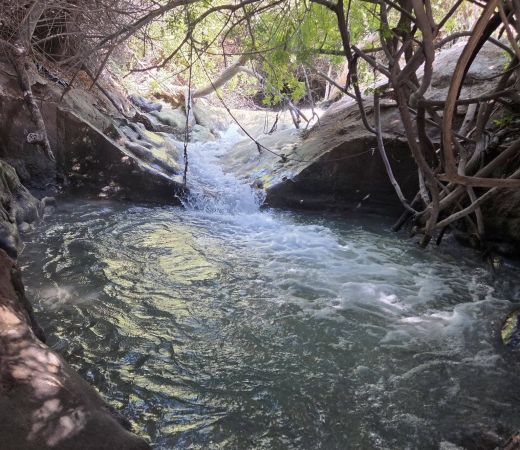 תמונה של המפלים הלבנים ליד עין הנצי"ב - למטייל בישראל (טיולי)