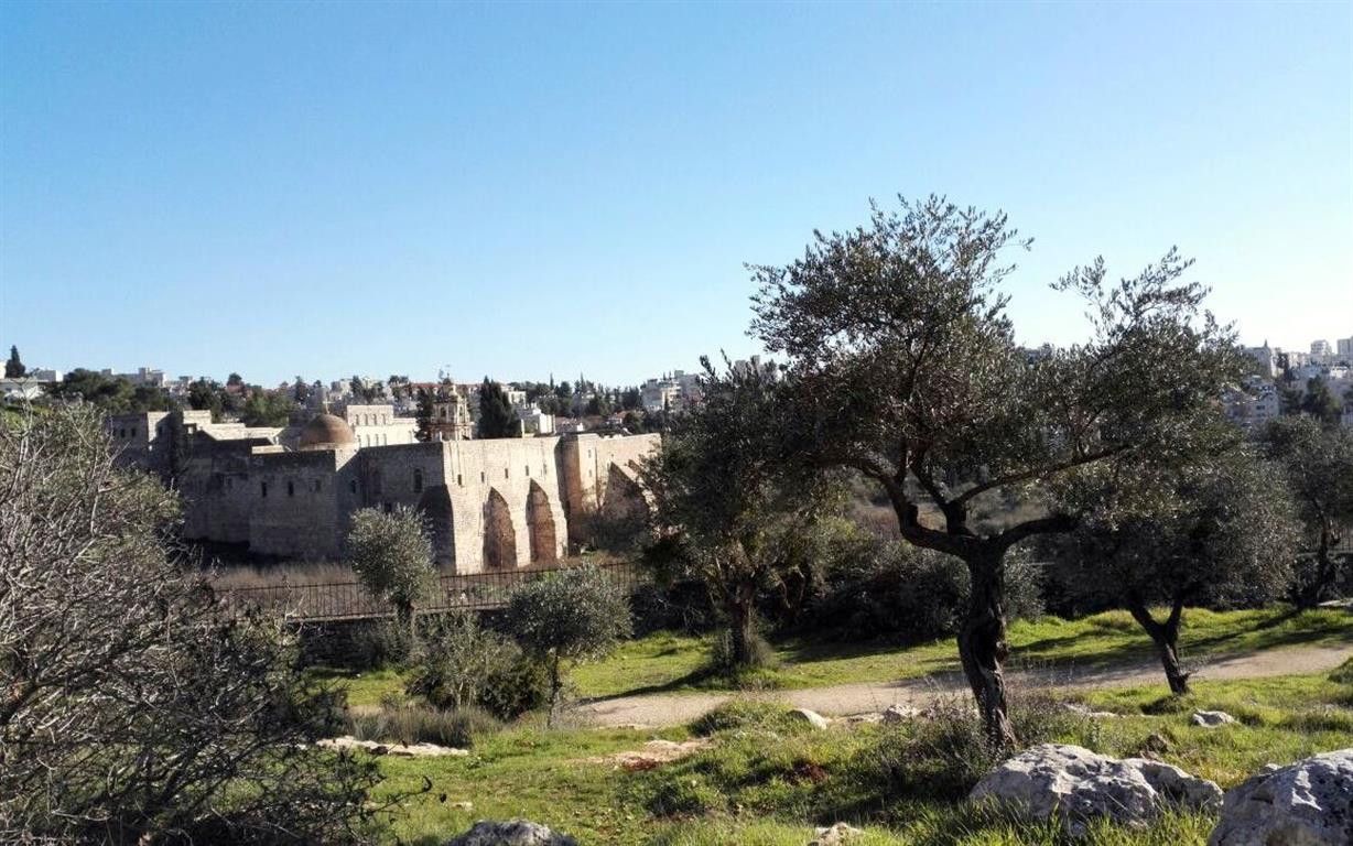 תמונה מתוך תוכן באתר למטייל בישראל (טיולי)