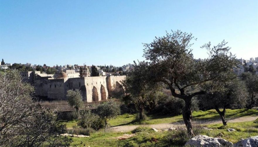 תמונה מתוך תוכן באתר למטייל בישראל (טיולי)