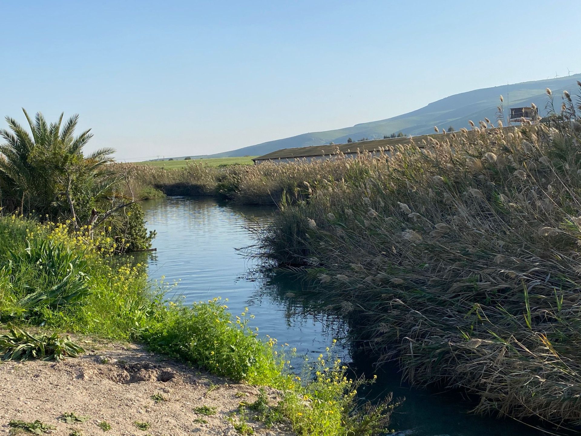 צילום: אבנית סטרולוב