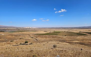 מיצג קרב עמק הבכא (3)