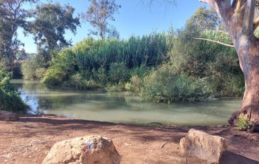 השילוב המנצח: עגלות קפה עם טיול קרוב ליד (2)