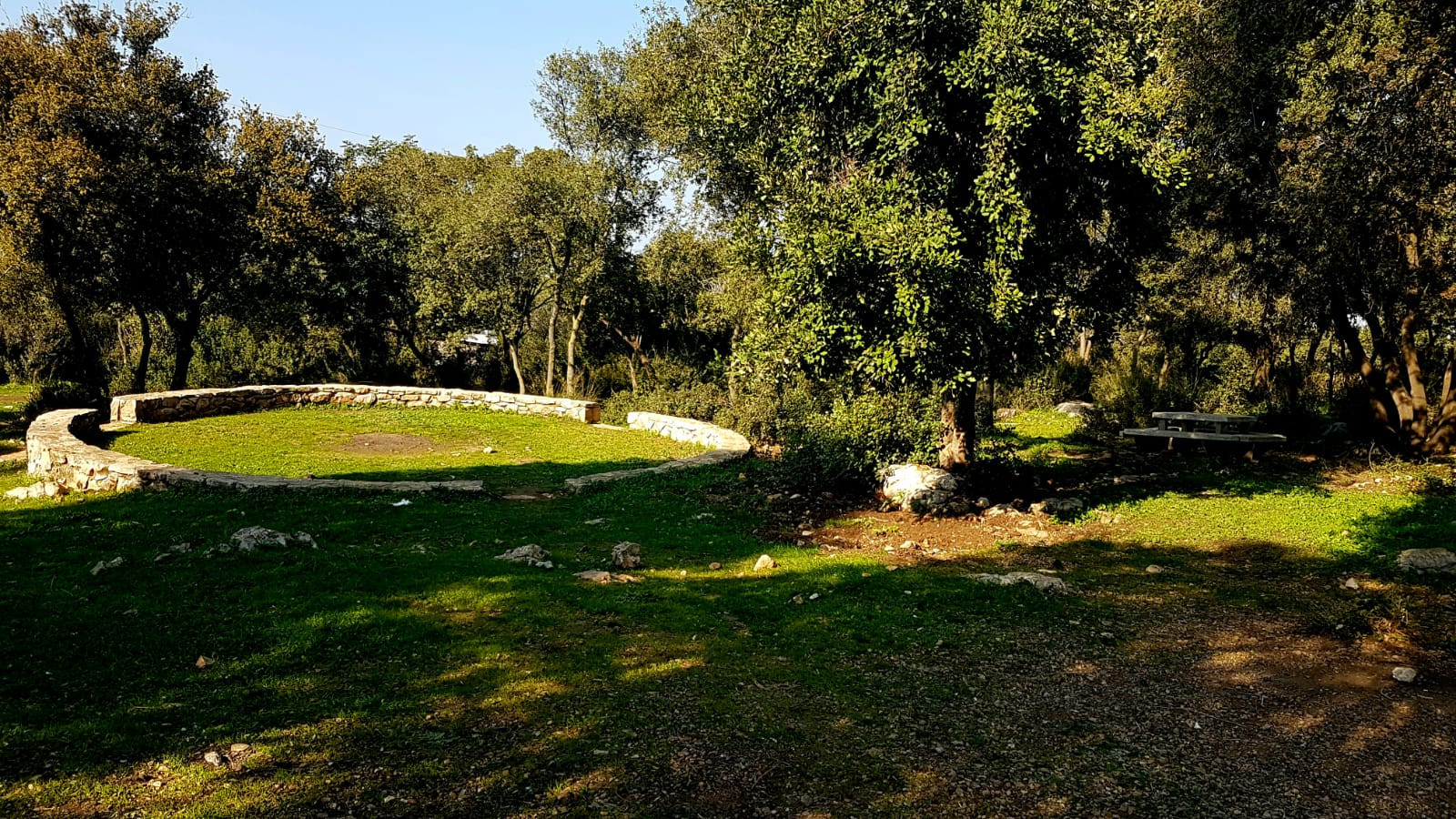 חניון יער היערנים | צילום: ניר הרשקוביץ, רשות הטבע והגנים