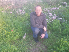 רקפת מצויה - צילום של Iddo_3270859 - למטייל בישראל (טיולי)