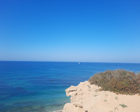 תמונה מתוך למטייל בישראל (טיולי)