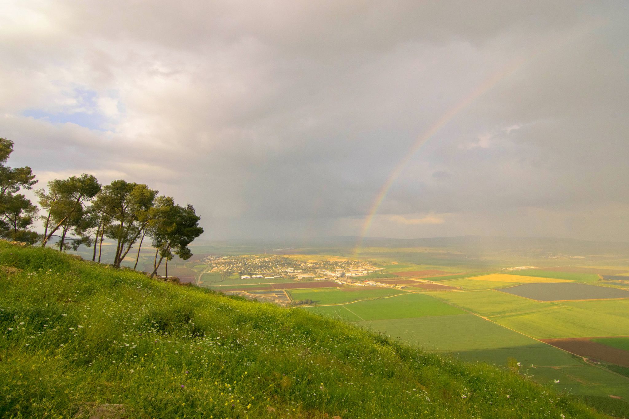 צילום: מיכאל גל