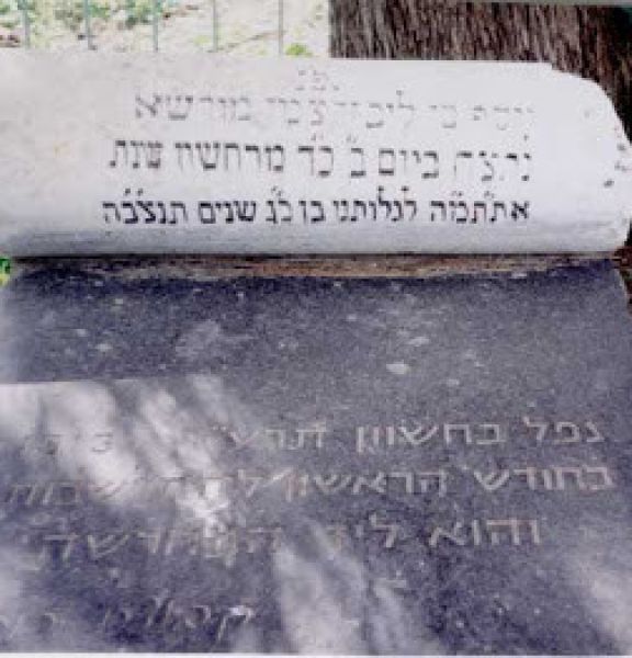 תמונה של הירדן הדרומי - קברי עלייה ראשונה - למטייל בישראל (טיולי)